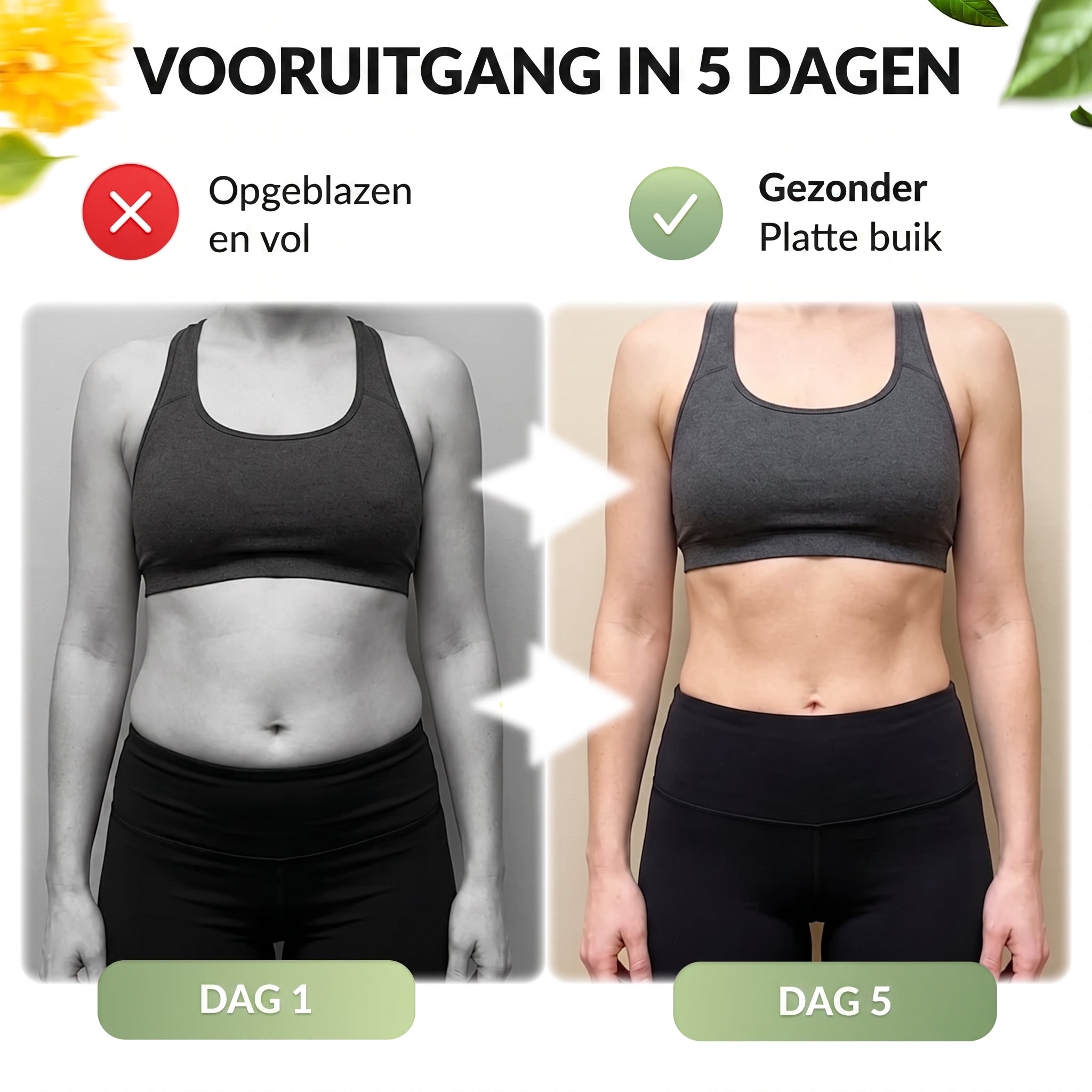 Vooruitgang in 5 dagen