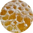 Bijenwas